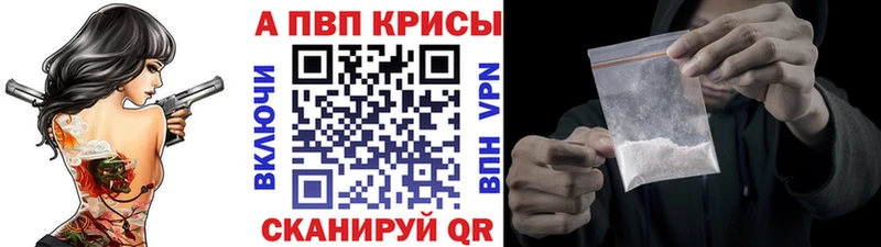 Альфа ПВП СК КРИС  блэк спрут рабочий сайт  Шлиссельбург  цены  