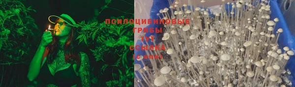 дмт Белокуриха