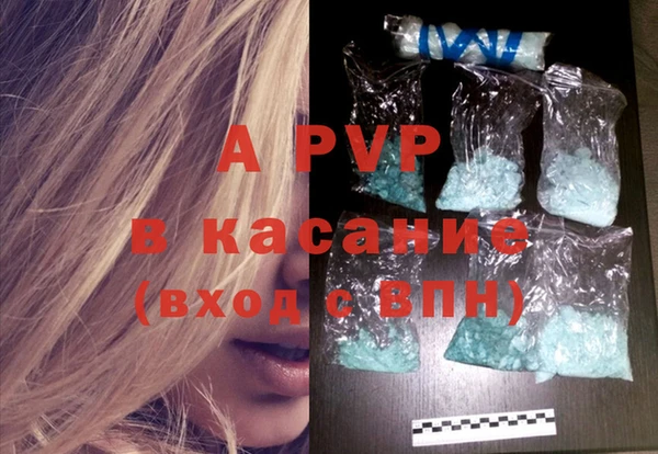 дмт Белокуриха