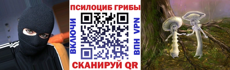 Галлюциногенные грибы ЛСД  как найти закладки  Шлиссельбург 